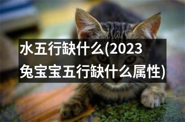 水五行缺什么(2025兔宝宝五行缺什么属性)