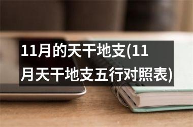 11月的天干地支(11月天干地支五行对照表)