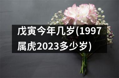 戊寅今年几岁(1997属虎2025多少岁)