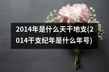 2014年是什么天干地支(2014干支纪年是什么年号)