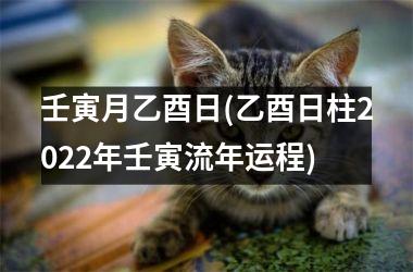 壬寅月乙酉日(乙酉日柱2025年壬寅流年运程)