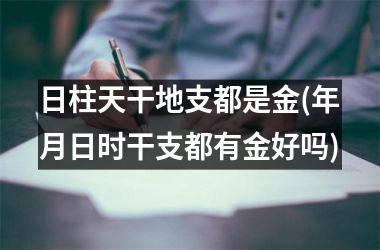 日柱天干地支都是金(年月日时干支都有金好吗)