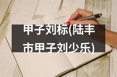 甲子刘标(陆丰市甲子刘少乐)