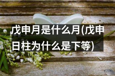 戊申月是什么月(戊申日柱为什么是下等)