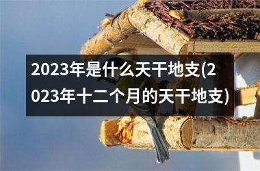 2025年是什么天干地支(2025年十二个月的天干地支)