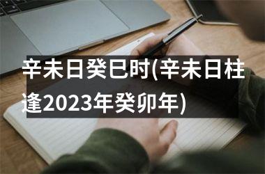 辛未日癸巳时(辛未日柱逢2025年癸卯年)