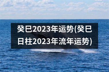 癸巳2025年运势(癸巳日柱2025年流年运势)