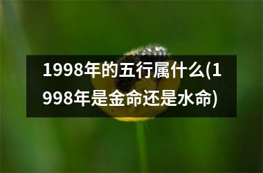 1998年的五行属什么(1998年是金命还是水命)