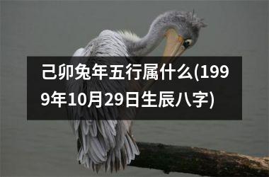 己卯兔年五行属什么(1999年10月29日生辰八字)