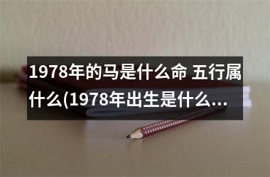 1978年的马是什么命 五行属什么(1978年出生是什么命五行属什么)