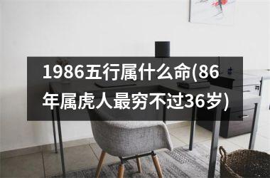 1986五行属什么命(86年属虎人最穷不过36岁)