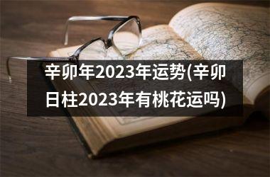 辛卯年2025年运势(辛卯日柱2025年有桃花运吗)