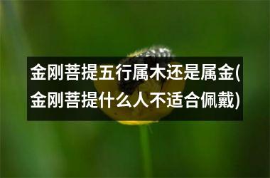 <h3>金刚菩提五行属木还是属金(金刚菩提什么人不适合佩戴)