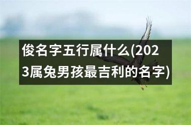 俊名字五行属什么(2025属兔男孩最吉利的名字)