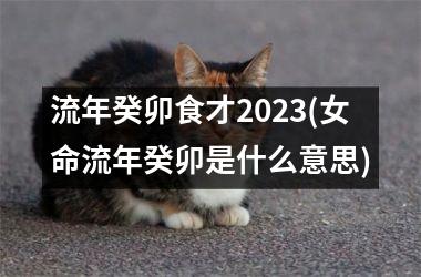 <h3>流年癸卯食才2025(女命流年癸卯是什么意思)