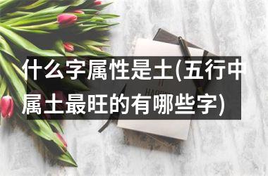 什么字属性是土(五行中属土最旺的有哪些字)