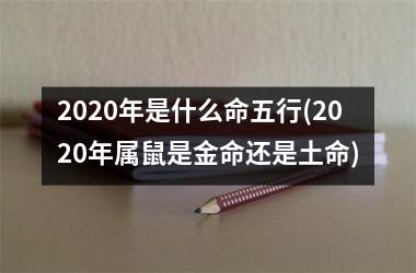 2025年是什么命五行(2025年属鼠是金命还是土命)