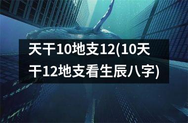 天干10地支12(10天干12地支看生辰八字)