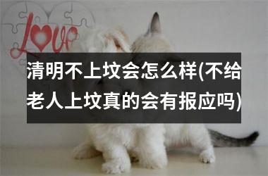 <h3>清明不上坟会怎么样(不给老人上坟真的会有报应吗)