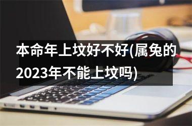 本命年上坟好不好(属兔的2025年不能上坟吗)