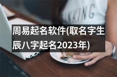 <h3>周易起名软件(取名字生辰八字起名2025年)