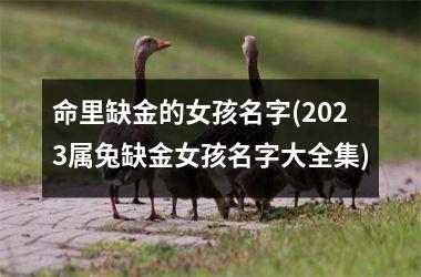 <h3>命里缺金的女孩名字(2025属兔缺金女孩名字大全集)