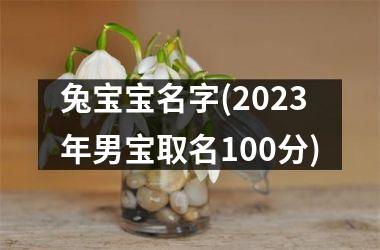 兔宝宝名字(2023年男宝取名100分)