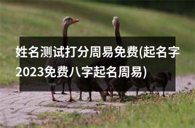 姓名测试打分周易免费(起名字2025免费八字起名周易)