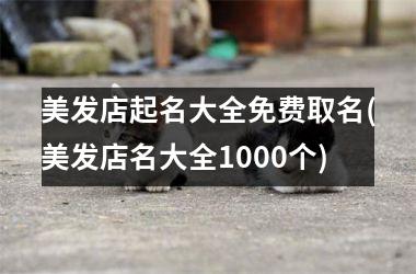 美发店起名大全免费取名(美发店名大全1000个)