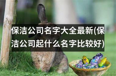 <h3>保洁公司名字大全最新(保洁公司起什么名字比较好)