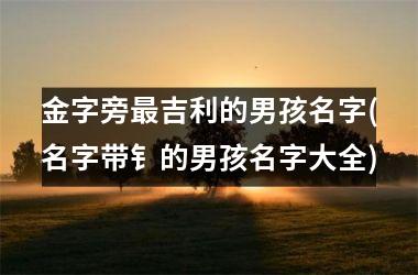 金字旁最吉利的男孩名字(名字带钅的男孩名字大全)