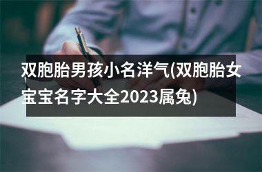 <h3>双胞胎男孩小名洋气(双胞胎女宝宝名字大全2025属兔)