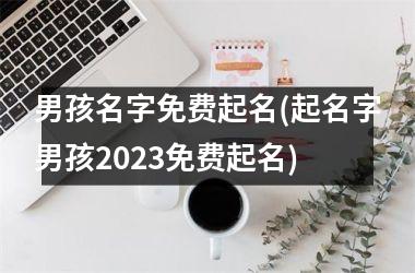 <h3>男孩名字免费起名(起名字男孩2025免费起名)