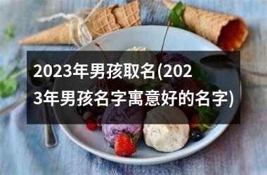 <h3>2025年男孩取名(2025年男孩名字寓意好的名字)