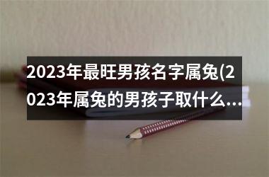 <h3>2025年最旺男孩名字属兔(2025年属兔的男孩子取什么名字好)