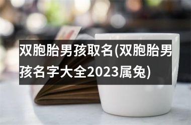 <h3>双胞胎男孩取名(双胞胎男孩名字大全2025属兔)