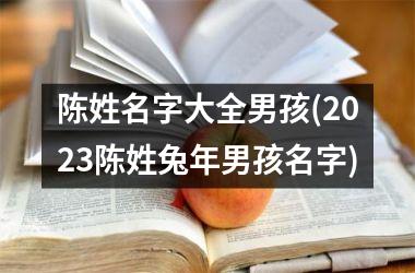 <h3>陈姓名字大全男孩(2025陈姓兔年男孩名字)