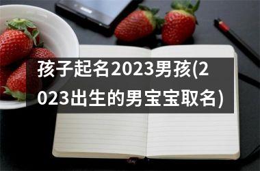 <h3>孩子起名2025男孩(2025出生的男宝宝取名)