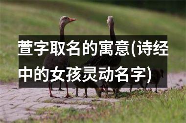 <h3>萱字取名的寓意(诗经中的女孩灵动名字)