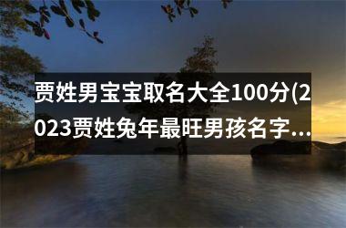 贾姓男宝宝取名大全100分(2025贾姓兔年最旺男孩名字)