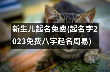 新生儿起名免费(起名字2025免费八字起名周易)