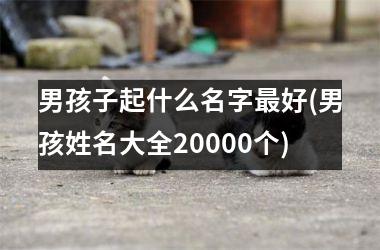 <h3>男孩子起什么名字最好(男孩姓名大全20000个)