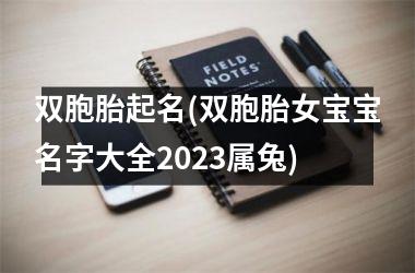 双胞胎起名(双胞胎女宝宝名字大全2025属兔)