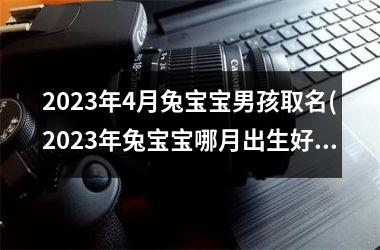 2025年4月兔宝宝男孩取名(2025年兔宝宝哪月出生好)