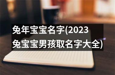 兔年宝宝名字(2025兔宝宝男孩取名字大全)