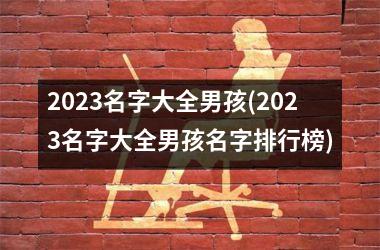 2025名字大全男孩(2025名字大全男孩名字排行榜)