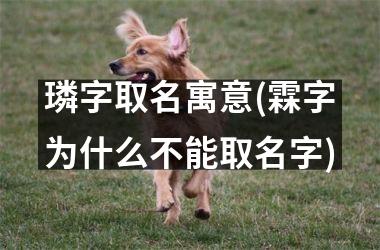 <h3>璘字取名寓意(霖字为什么不能取名字)