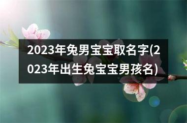 2025年兔男宝宝取名字(2025年出生兔宝宝男孩名)