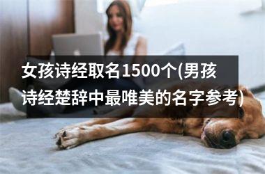 女孩诗经取名1500个(男孩诗经楚辞中最唯美的名字参考)