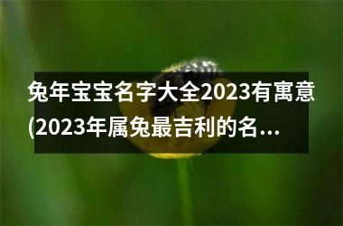 兔年宝宝名字大全2023有寓意(2023年属兔更吉利的名字)